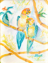 Pastel%20Parrots (thumbnail)
