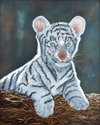 Baby%20Blue%20Eyes (thumbnail)