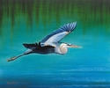 Graceful%20Flight (thumbnail)
