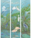 Tropical%20Birds (thumbnail)