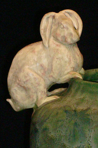 Rabbit detail