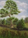 Oak%20Tree (thumbnail)