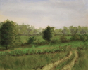 Country%20Lane (thumbnail)