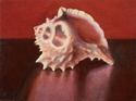 Julie barbeau, irvine, california, united states, oil painting, oils, oil picture, pictures, canvas, still life, still lifes, shell, pink seashell, classical art, red, alizarin crimson, realism, classicism, naturalism, classical realism, table reflexion,  - Still Life Painting