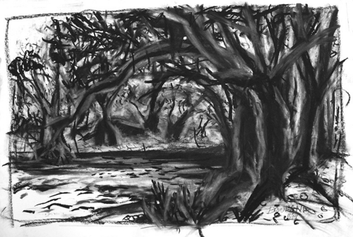 Drawing-Withlacoochie River