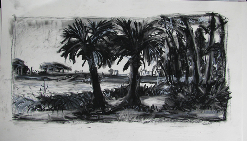 Drawing-St. Marks Palms, B & W