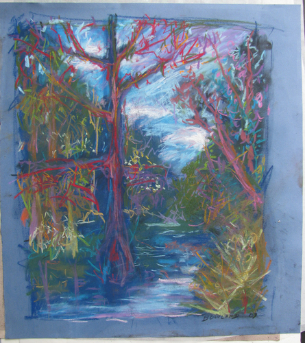 Drawing-Expressionist-Suwannee River Cypress
