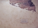 Wine%20Cellar%20Wall (thumbnail)