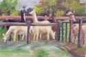 Alpacas (thumbnail)