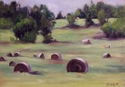 Haybales (thumbnail)