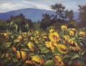 Sunny%20Field (thumbnail)