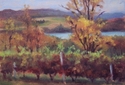 Hunter%27s%20Valley%20View (thumbnail)
