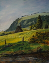 Kilkenny%20Forest (thumbnail)