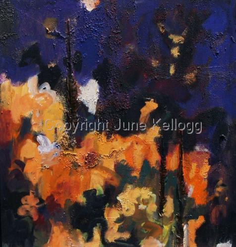 Coreopsis (large view)