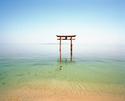 John Upton - Swimming Shaman, Lake Biwa