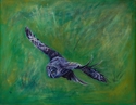 Painting--Oil-WildlifeTom's Great Grey II