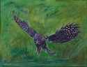 Painting--Oil-WildlifeTom's Great Grey III