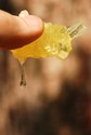 In%20the%20Land%20of%20Honey (thumbnail)