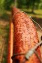 Hinged (thumbnail)