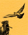 The Owl-Girl Swing The%20Owl-Girl%20Swing (thumbnail)