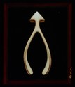 Wishbone%20Series%3A%20Up (thumbnail)