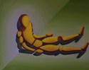 Absent (thumbnail)