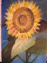 Painting--Oil-LandscapeSunflower
