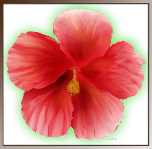 Digital Art-Fine Art-Hibiscus