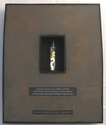 Specimen%20Display%20Case%20II (thumbnail)