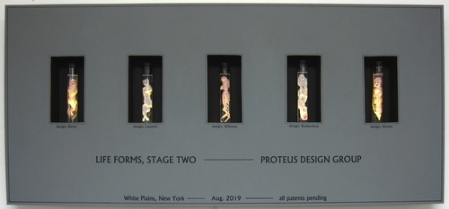 Specimen%20Display%20Case%20III (thumbnail)