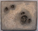 Sculpture--Mixed Media-ExpressionistEvidence of Spontaneous Generation D