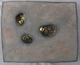 Sculpture--Mixed Media-ExpressionistEvidence of Spontaneous Generation B