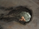 Sculpture-detail from Tunnel Display