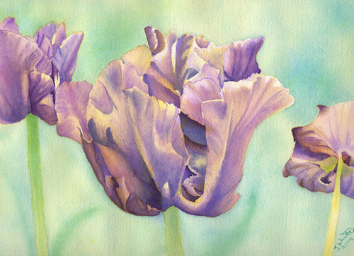 Painting-Floral-Blue Parrot Tulips