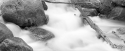 Photography--Black & White-LandscapeWest Chicago Creek, Mt. Evans, CO
