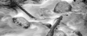 Photography--Black & White-Landscapewest Chicago Creek, Mt. Evans, CO