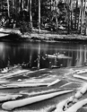 Photography--Black & White-LandscapeFrozen Pond - Colorado