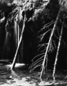 Photography--Black & White-LandscapeHanging Lake 