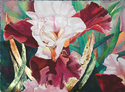 Karen Baugh - Merlot Iris