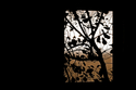 Untitled (thumbnail)