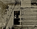 Untitled (thumbnail)