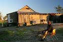 Psychodelic barns