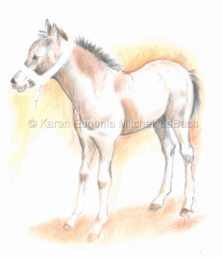 Drawing-Paper-Baby's first Tack