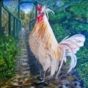 SWINGING%20BRIDGE%20CHICKEN (thumbnail)