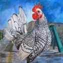 BRIDGE%20STREET%20CHICKEN (thumbnail)