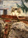 ITALIAN%20CAT%20ON%20WALL%20by%20Karen%20Peterson (thumbnail)