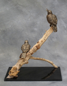 Bronze Meadowlarks Bronze%20Meadowlarks (thumbnail)