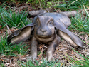 Bronze Rabbit on stomach Bronze%20Rabbit%20on%20stomach (thumbnail)