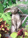 Bronze Pantaloon Rabbit Bronze%20Pantaloon%20Rabbit (thumbnail)