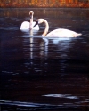 TRUMPETER%20SWANS%20by%20Karen%20Peterson (thumbnail)